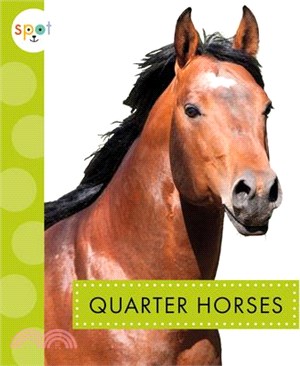 Quarter Horses