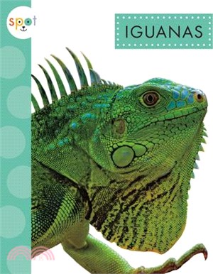 Iguanas