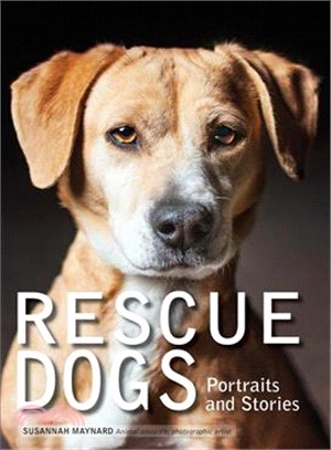 Rescue Dogs ― Portraits and Stories