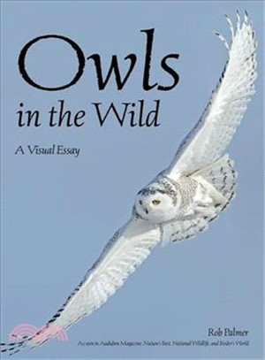 Owls in the Wild ― A Visual Tour