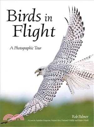 Birds in Flight ― A Visual Essay