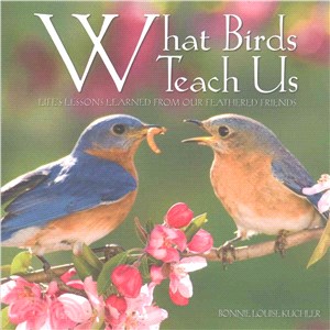 What Birds Teach Us