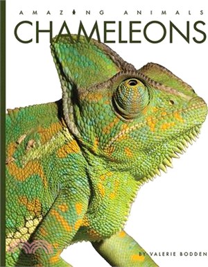 Chameleons