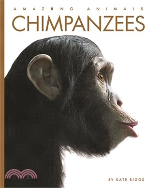 Chimpanzees