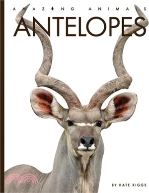 Antelopes