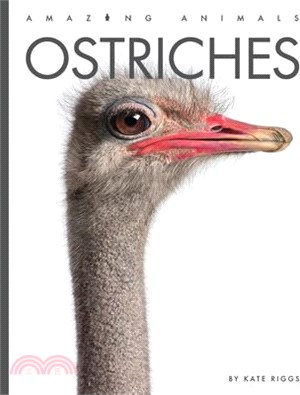 Ostriches