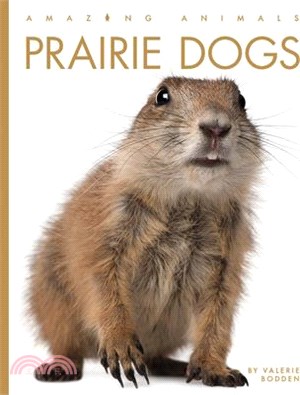 Prairie Dogs