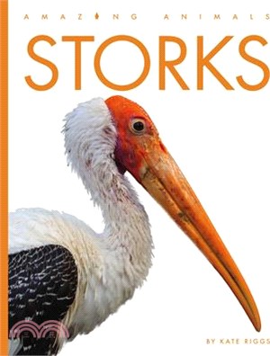 Storks