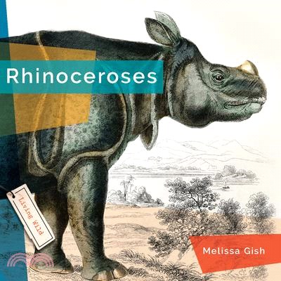 Rhinoceroses