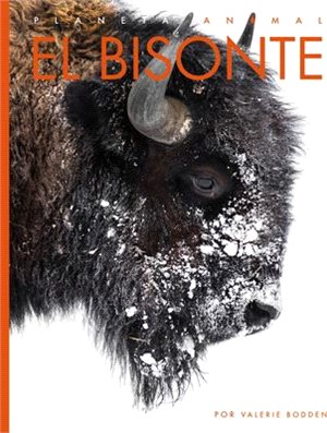 El Bisonte (Planeta animal - New Edition series)