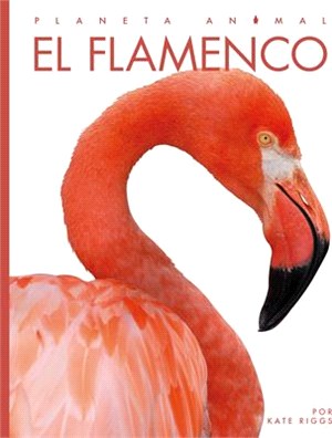 El Flamenco (Planeta animal - New Edition series)