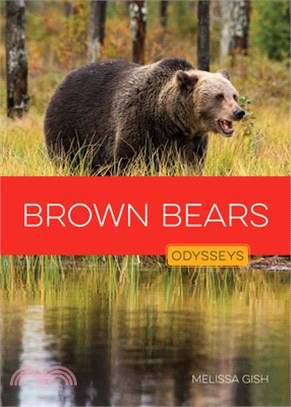 Brown Bears