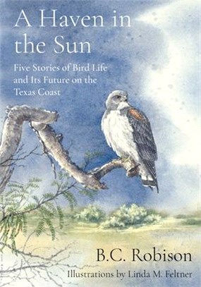 A Haven in the Sun ― Five Stories of Bird Life and Its Future on the Texas Coast