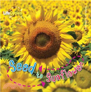 Seed to Sunflower