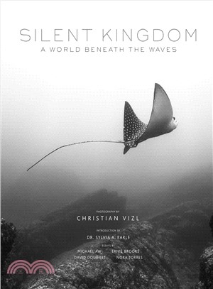 Silent Kingdom ― A World Beneath the Waves