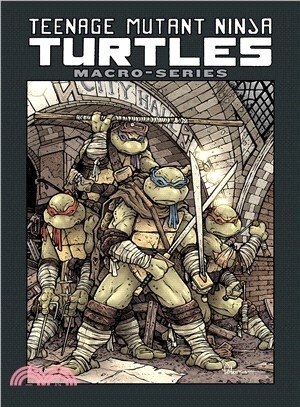 Teenage Mutant Ninja Turtles - Macro-series