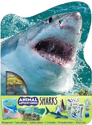 Animal Adventures ― Sharks