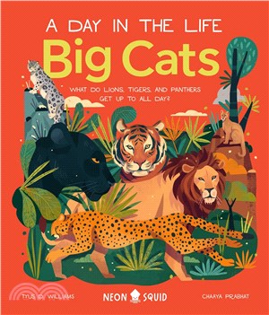 Big cats :what do lions, tigers, and panthers get up to all day? /