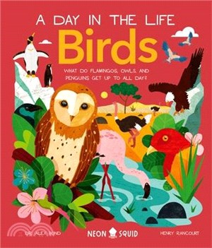 Birds :what do flamingos, owls, and penguins get up to all day? /