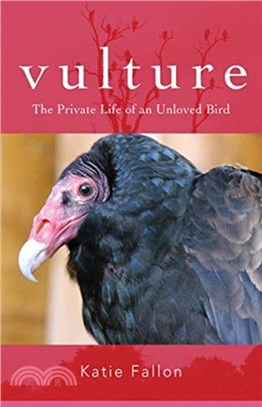 Vulture : The Private Life of an Unloved Bird