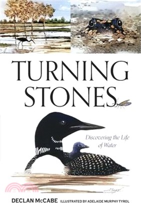 Turning Stones: Discovering the Life of Water