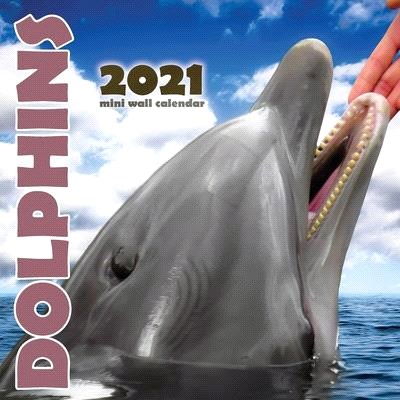 Dolphins 2021 Mini Wall Calendar