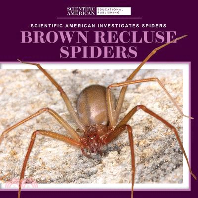 Brown Recluse Spiders