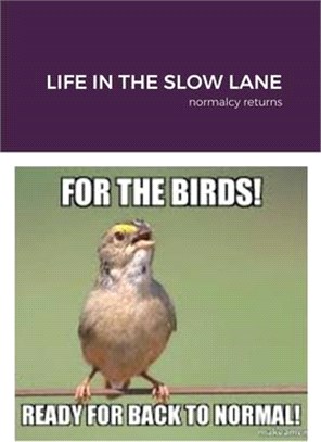 Life in the Slow Lane: normalcy returns
