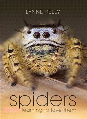 Spiders ─ Learning to Love Them