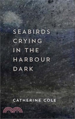 Seabirds Crying in the Harbour Dark