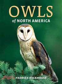 Owls of North America