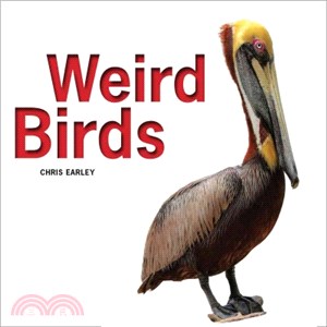 Weird Birds