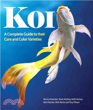 Koi ─ A Complete Guide to Their Care and Color Varieties