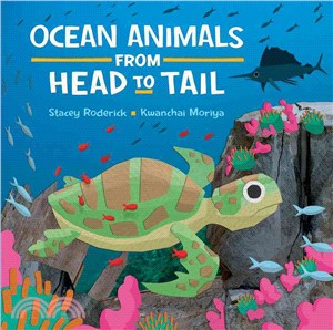 Ocean animals from head to t...