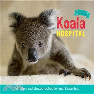 Koala Hospital