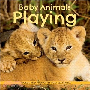 Baby Animals Playing