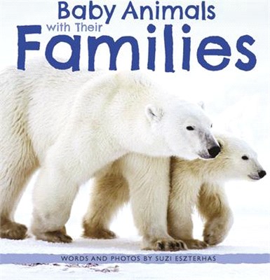 Baby Animals With Their Families