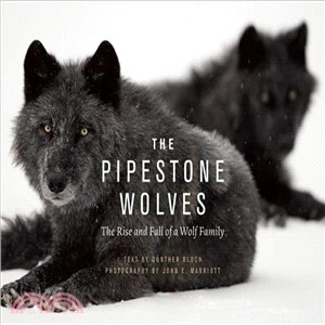 The Pipestone Wolves ― The Rise and Fall of a Wolf Family