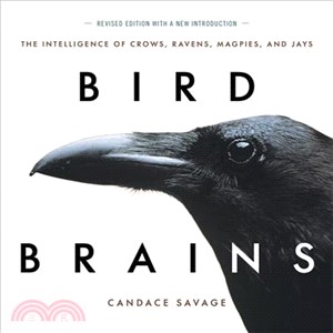 Bird Brains ― The Intelligence of Crows, Ravens, Magpies, and Jays