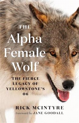 The Alpha Female Wolf: The Fierce Legacy of Yellowstone's 06