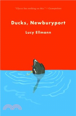 Ducks, Newburyport /