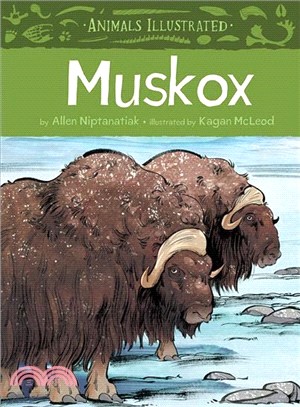 Muskox