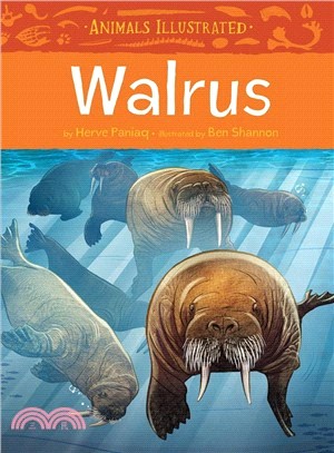 Walrus