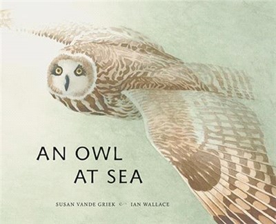An Owlt Sea