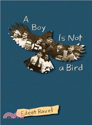 A Boy Is Not a Bird