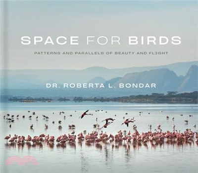 Space for Birds: Patterns and Parallels of Beauty and Flight