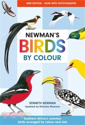 Newman's Birds by Colour: Southern Africa's Common Birds Arranged by Colour and Size