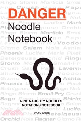 Danger noodle notebook-nine naughty noodles notations notebook