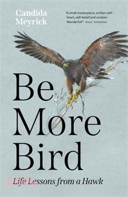 Be More Bird: Life Lessons from a Hawk