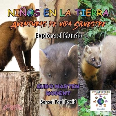 Niños en la Tierra - Aventuras de vida Silvestre - Explora el Mundo Euro Marten Rodent